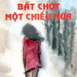 Bất Chợt Một Chiều Mưa