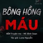 Bông Hồng Máu