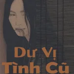 Dư Vị Tình Cũ