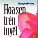 Hoa Sen Trên Tuyết