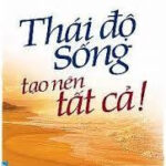 Thái Độ Sống Tạo Nên Tất Cả